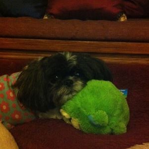 Meet your Posher, Sandra